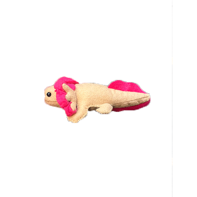 Axolotl