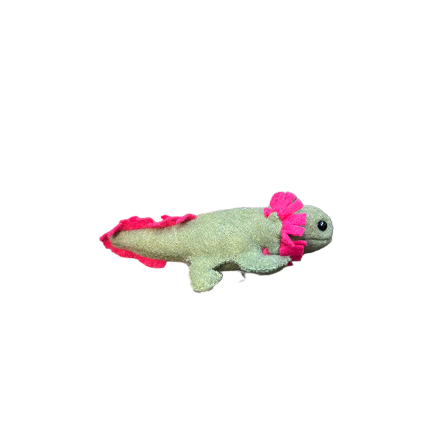 Axolotl