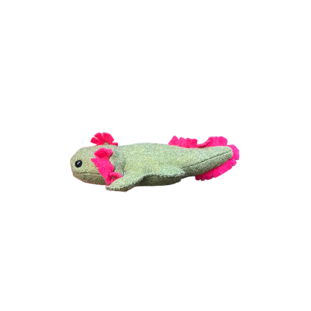 Axolotl