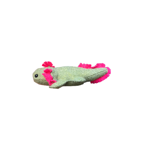 Axolotl