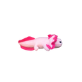 Axolotl