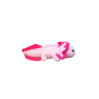 Axolotl