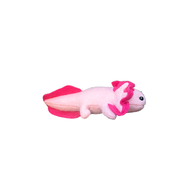 Axolotl