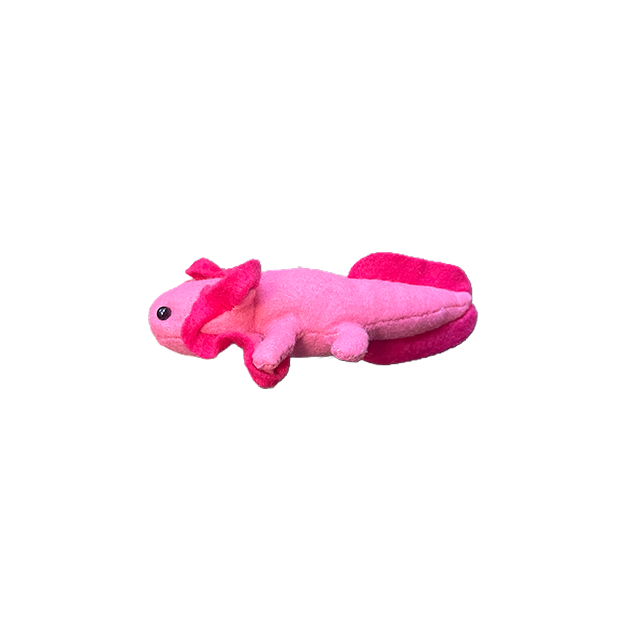 Axolotl