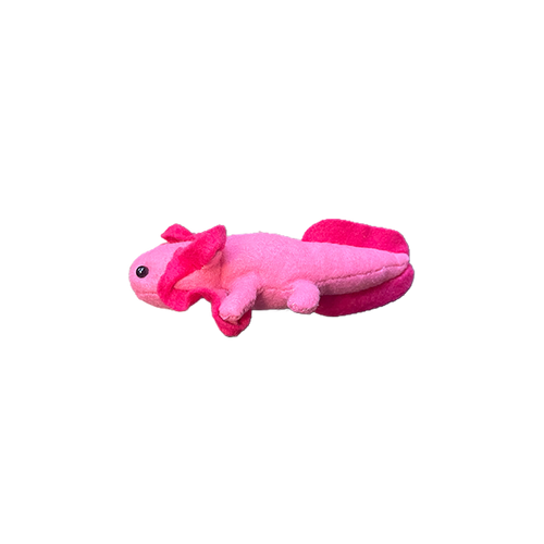 Axolotl