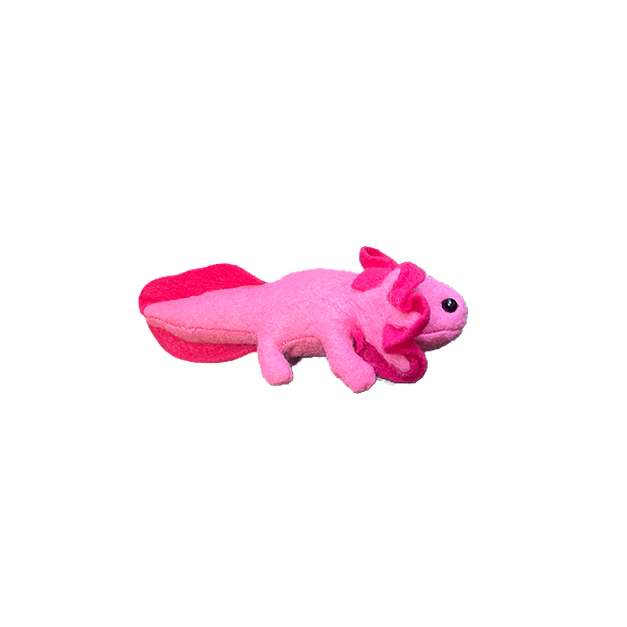 Axolotl