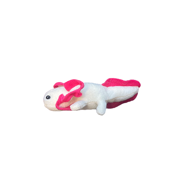 Axolotl
