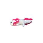 Axolotl