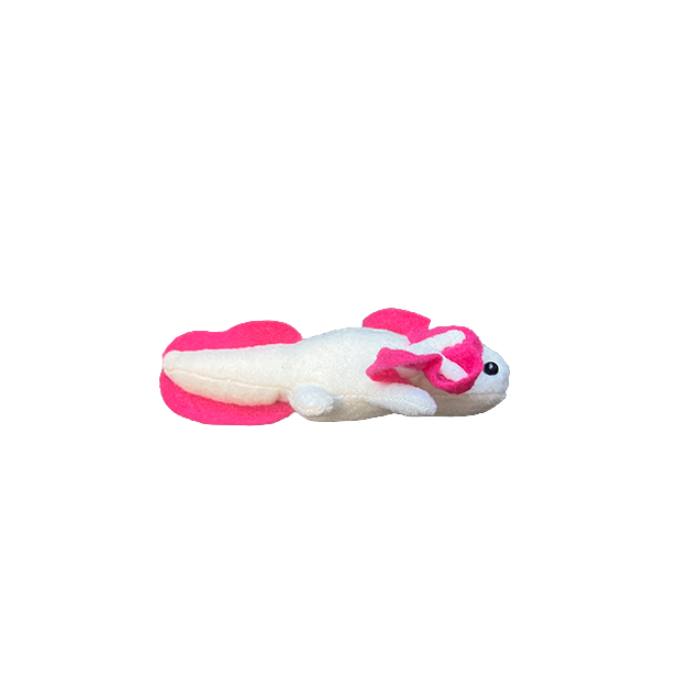 Axolotl