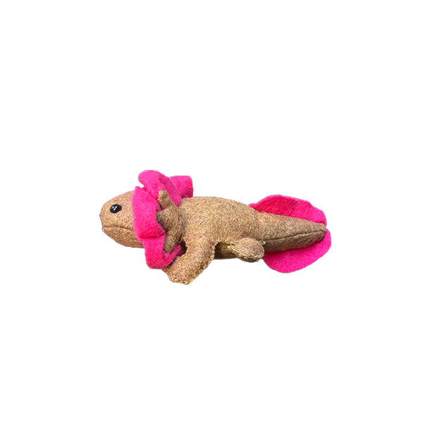 Axolotl