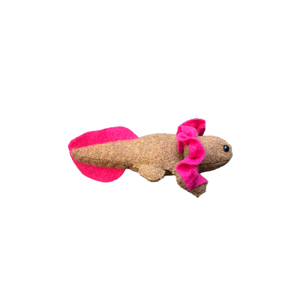 Axolotl