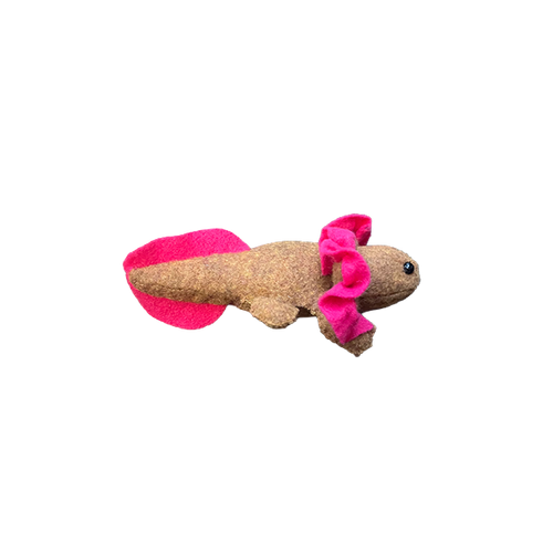 Axolotl